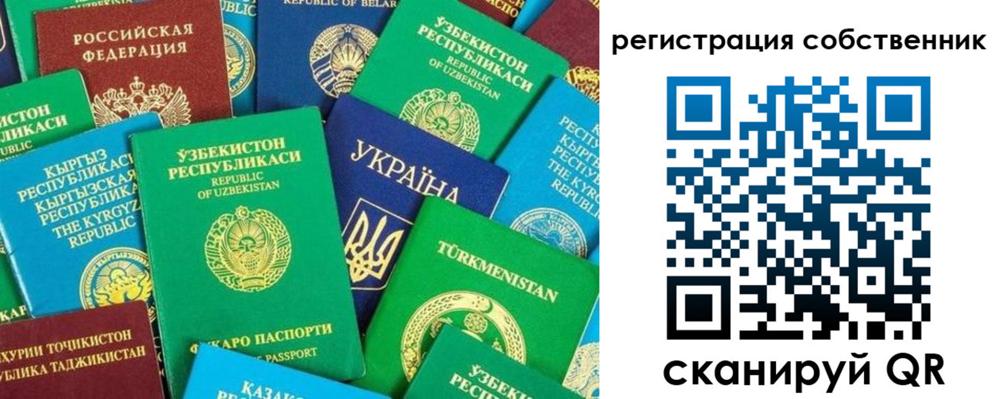 прописка в Ельце